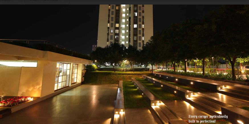 video image