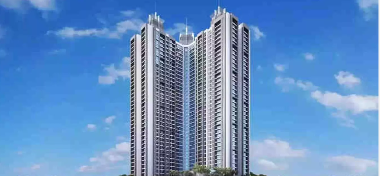 video image