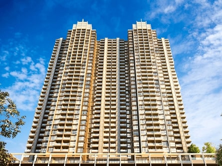 video image
