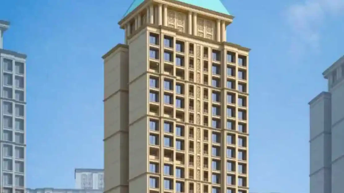 video image
