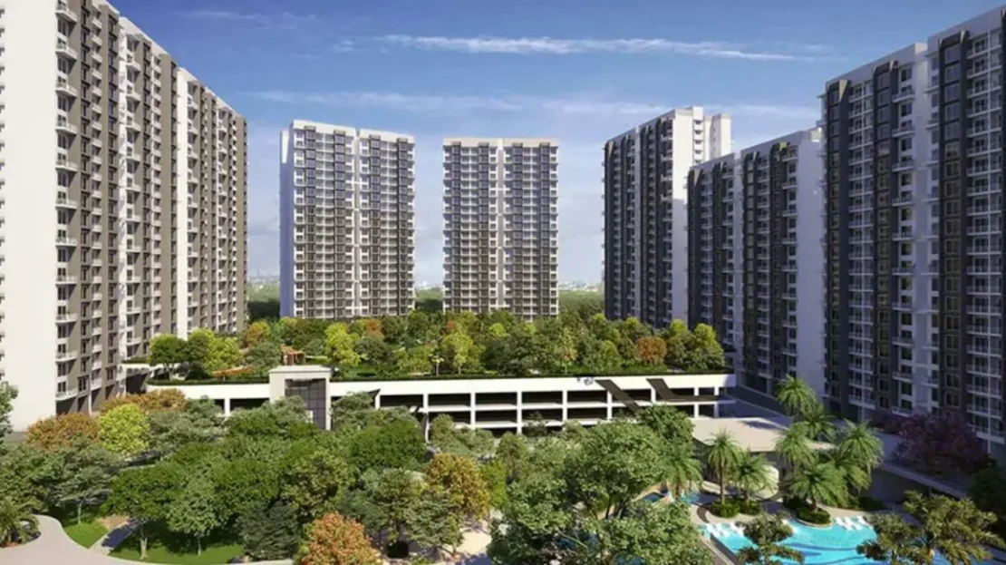 video image