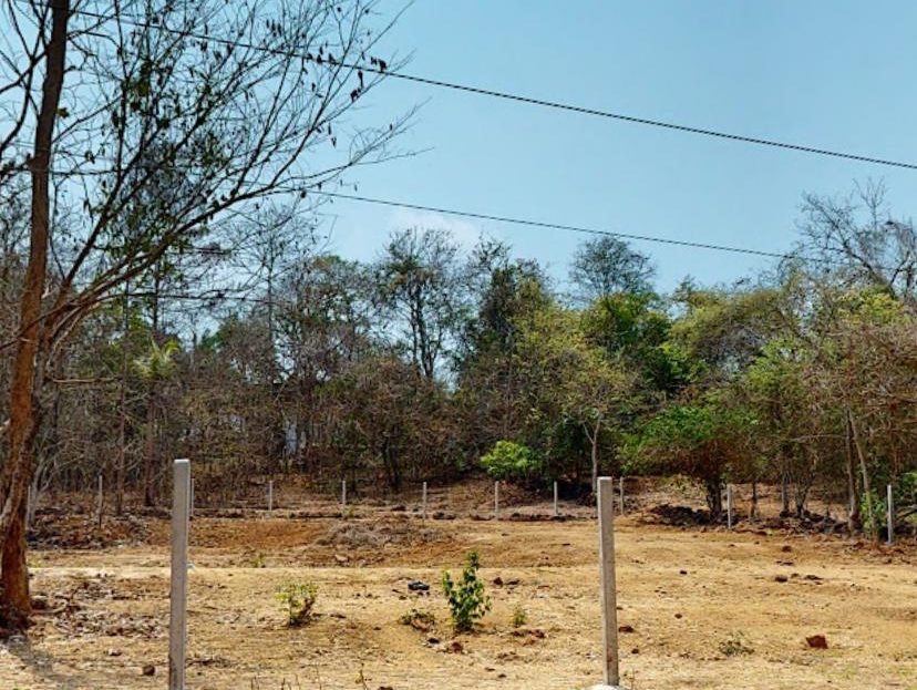 video image